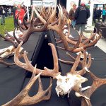 Sika Show returns in 2022